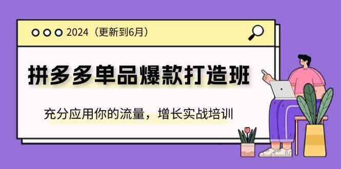 2024拼多多单品爆款打造班，充分应用你的流量，增长实战培训(更新6月)-网创项目