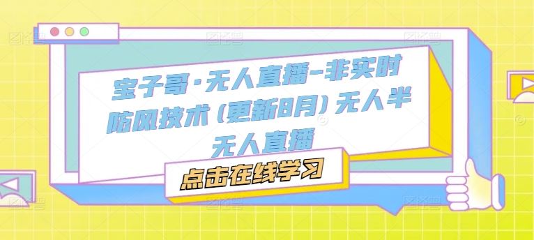 宝子哥·无人直播-非实时防风技术(更新8月)无人半无人直播-网创项目