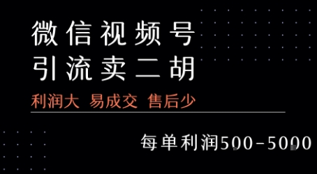 视频号卖二胡教程，利润大 易成交 售后少，一单利润5张+-网创项目